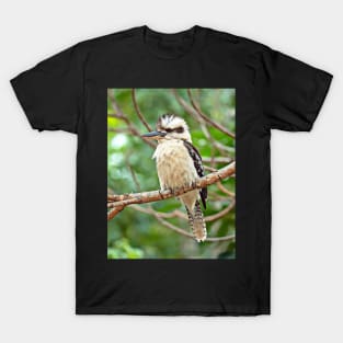 Kookaburra: Photography plus digital art T-Shirt